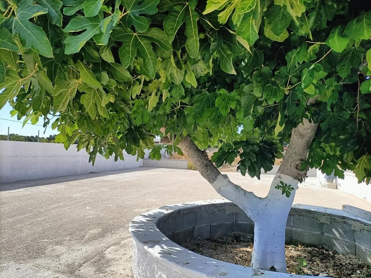 Country house Dimore Contardo Guest House Brindisi Italy