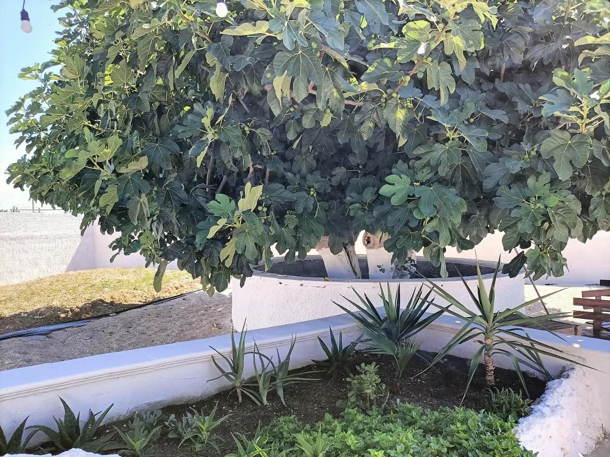 Dimore Contardo Guest House Brindisi